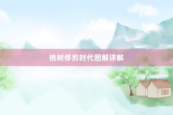 桃树修剪时代图解详解