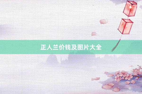 正人兰价钱及图片大全