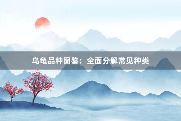 乌龟品种图鉴：全面分解常见种类